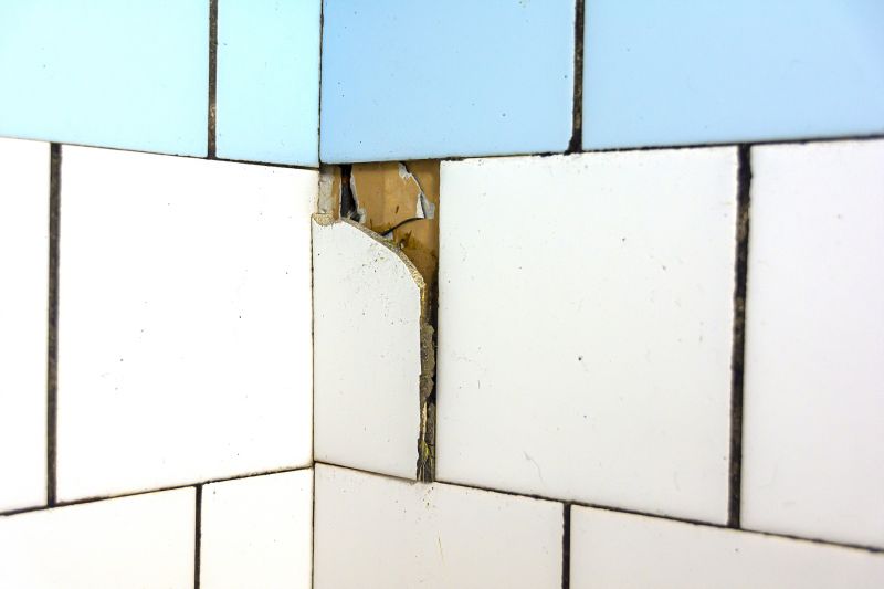 Damaged Grout Restoration